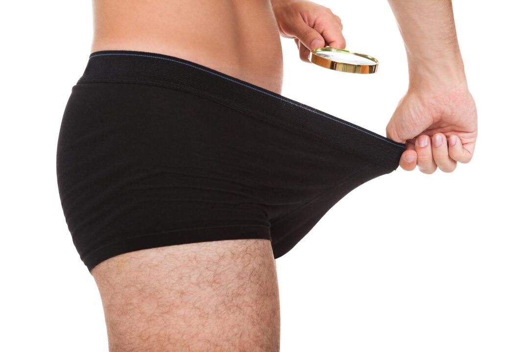 Normal size of male organ