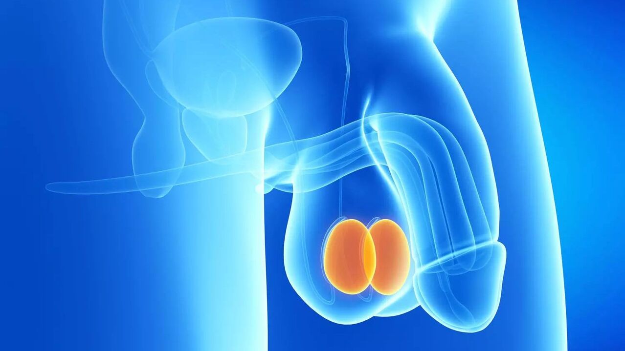Cost of penis enlargement surgery